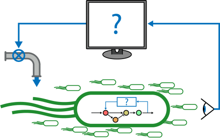 Cybergenetic Control